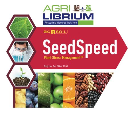 Seed Speed